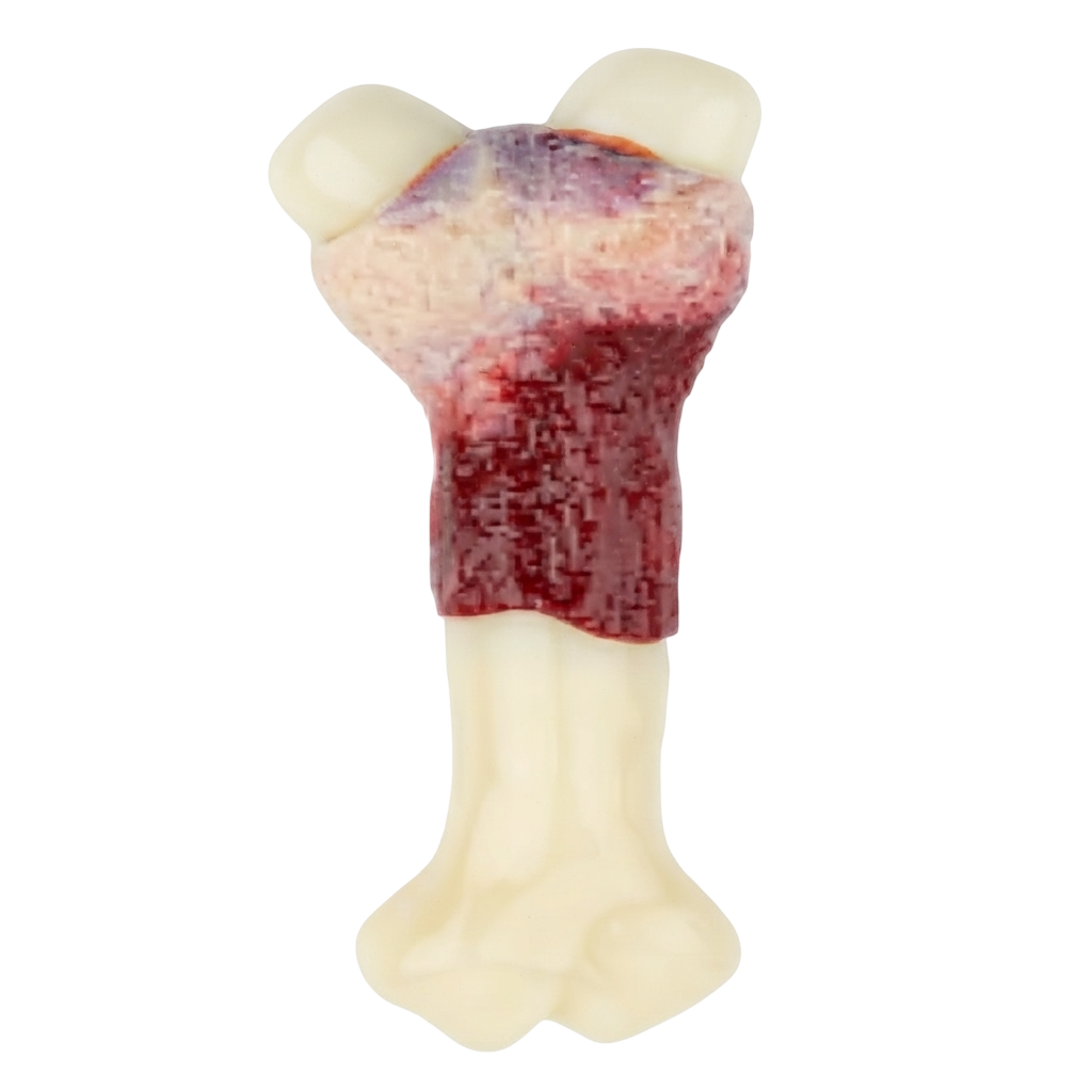 Nobby Ultra Nylon Dog Bone M/L | SW0313