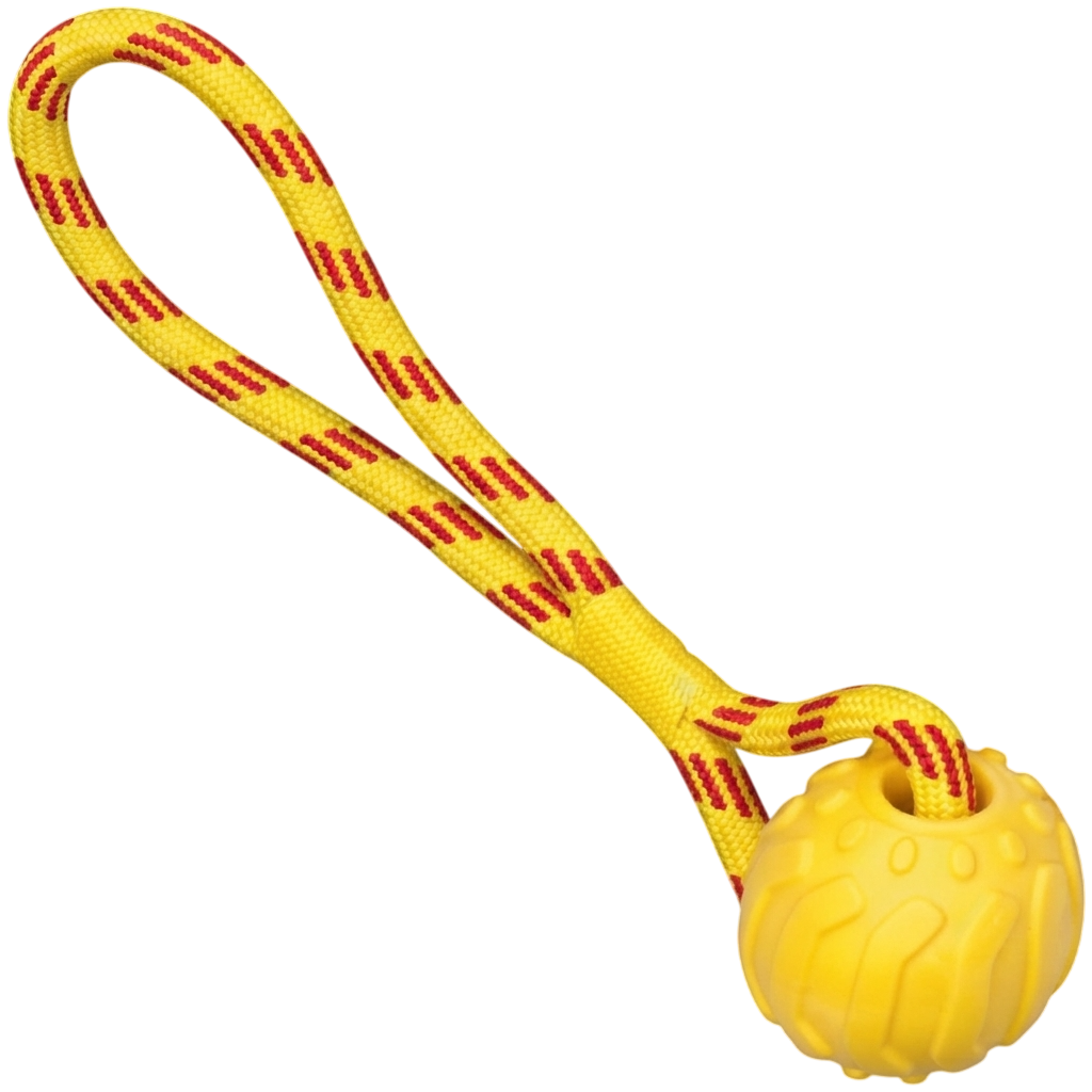 Nobby TPR Foam Ball with Rope 37cm Dog Toy | 62361