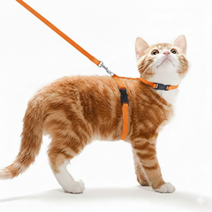 Göksum Petshop Cat Leash & Harness - Orange | PET-CL-ORG01