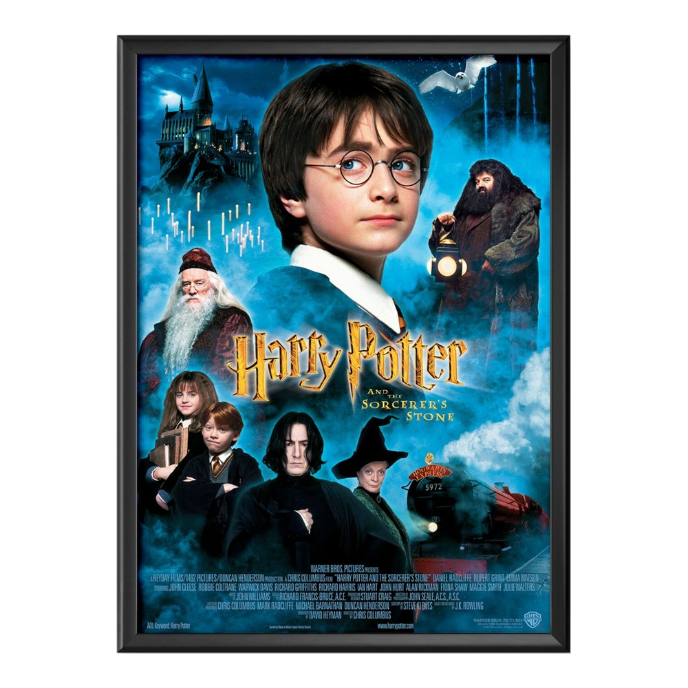 Harry Potter 3D Lenticular Framed Picture | Z1307