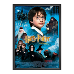 Harry Potter 3D Lenticular Framed Picture | Z1307