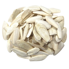 Cuttle Bones - Natural Calcium Supplement for Birds