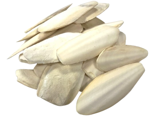 Cuttle Bones - Natural Calcium Supplement for Birds