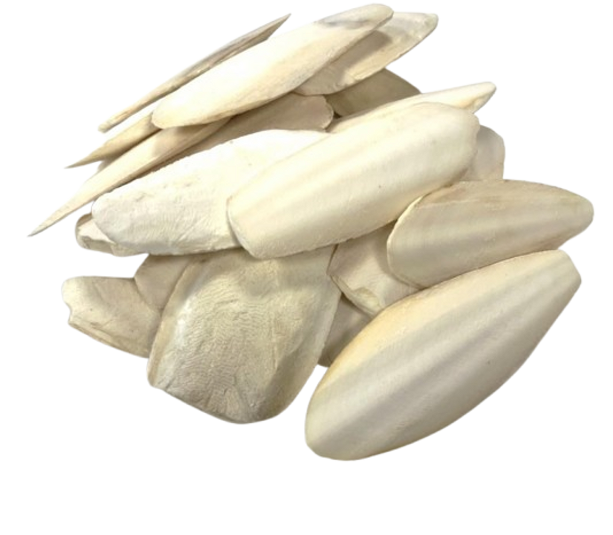 Cuttle Bones - Natural Calcium Supplement for Birds