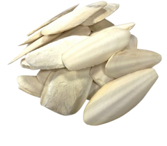 Cuttle Bones - Natural Calcium Supplement for Birds