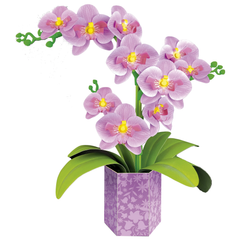 EDUCA Floral Art - مجموعة حرفية ثلاثية الأبعاد للأوركيد | 20135