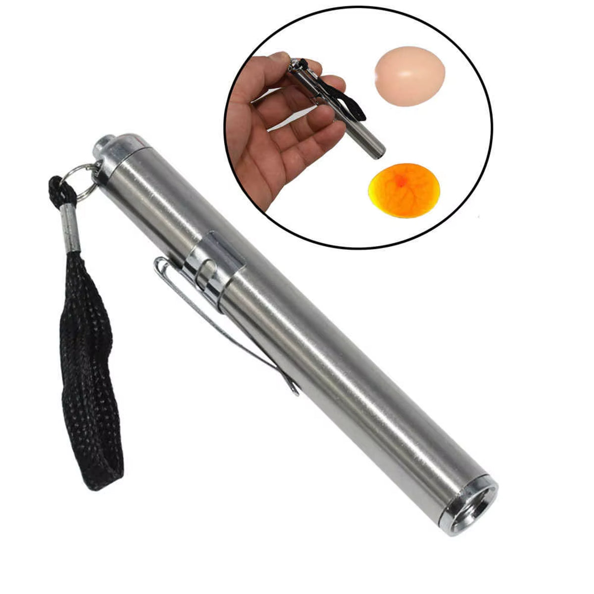 Egg Check Light - LED Egg Candler for Birds