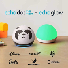 Amazon Echo dot 4th gen kids edition panda