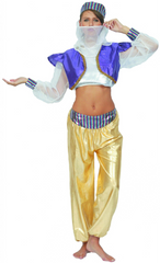 Oriental Dancer Costume (Headdress, Pants & Top) | 891194