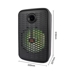 Subwoofer Speaker Wireless Mobile Phones Audio Players Home | ZQS12156