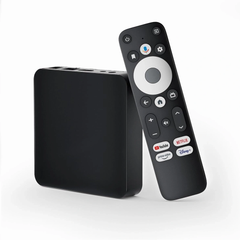 Dcolor Google TV Box GD2 with Chromecast built-in | GD2