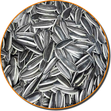 Sunflower Seeds ARG 20KG - Premium Bird Food