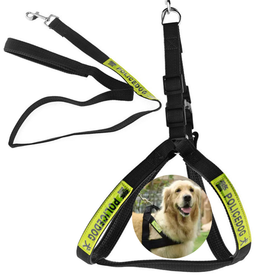 Dog Police Leash - Large Size, Black | PET-DPL-LRG-BLK01