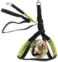 Dog Police Leash - Large Size, Black | PET-DPL-LRG-BLK01
