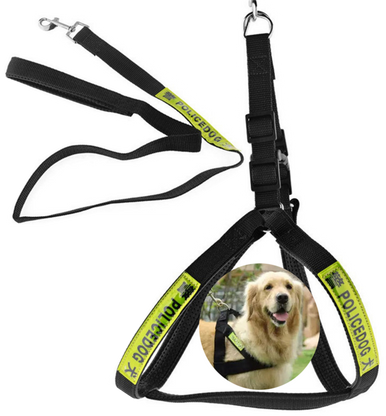 Dog Police Leash - Large Size, Black | PET-DPL-LRG-BLK01