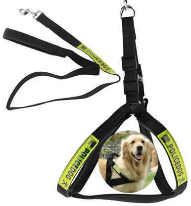 Dog Police Leash - Medium Size, Black | PET-DPL-MED-BLK01