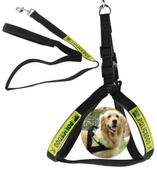 Dog Police Leash - Medium Size, Black | PET-DPL-MED-BLK01