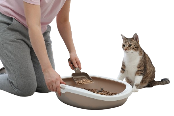 Cat Litter Box with Shovel – Brown