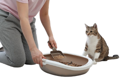 Cat Litter Box with Shovel – Brown