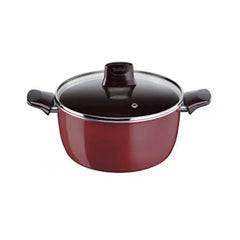 Tefal Stewpot Pleasure 24 cm | D505465