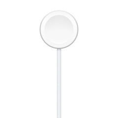 Apple Magnetic Charger to USB 1M | MU9G2AM/A