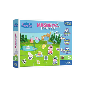 Magnetic Puzzles