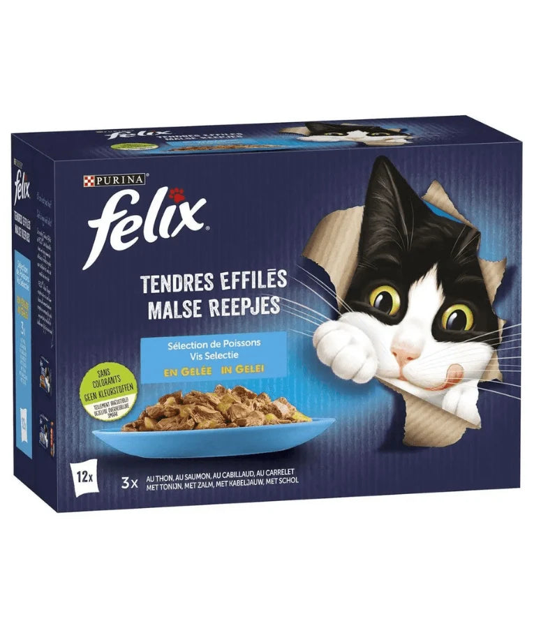 Purina Felix Tender Shredded Cat Wet Food in Jelly - Tuna, Salmon, Cod & Plaice 12 x 85g
