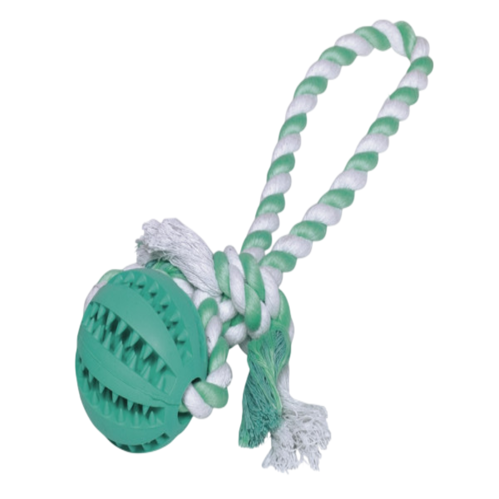 Nobby Dental Ball with Rope 30cm Dog Toy | 61218