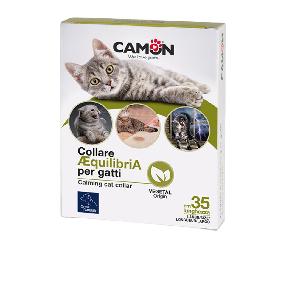 Camon Equilibria Cat Collar | G951