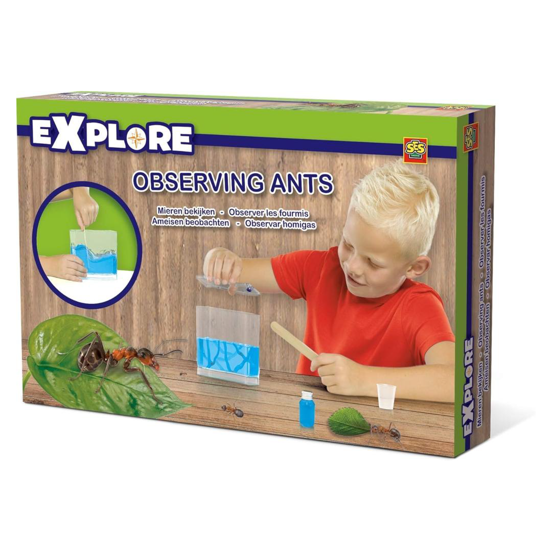 SES Creative Observing Ants Educational Toy | 25084