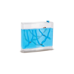 SES Creative Observing Ants Educational Toy | 25084