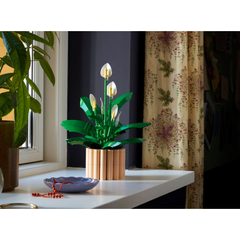 LEGO Peace Lily | 11504