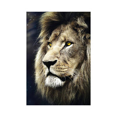 Trefl Lions Portrait Puzzle 1500 Pieces | 26139