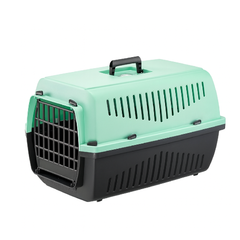 Cat Carrier Box - Medium Size - Light Aqua Green
