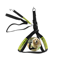 Dog Police Leash - Medium Size, Black | PET-DPL-MED-BLK01