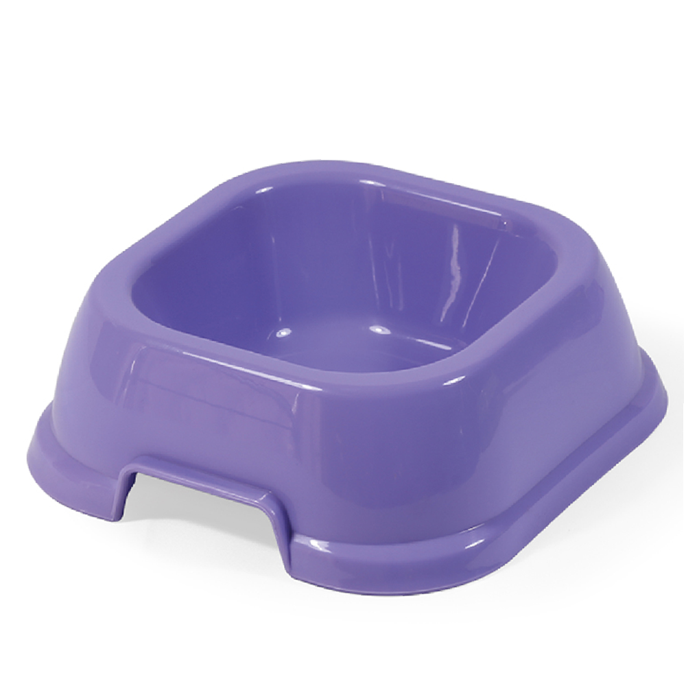 Kitten Feeding Bowl - Plastic Food & Water Dish for Cats - Purple