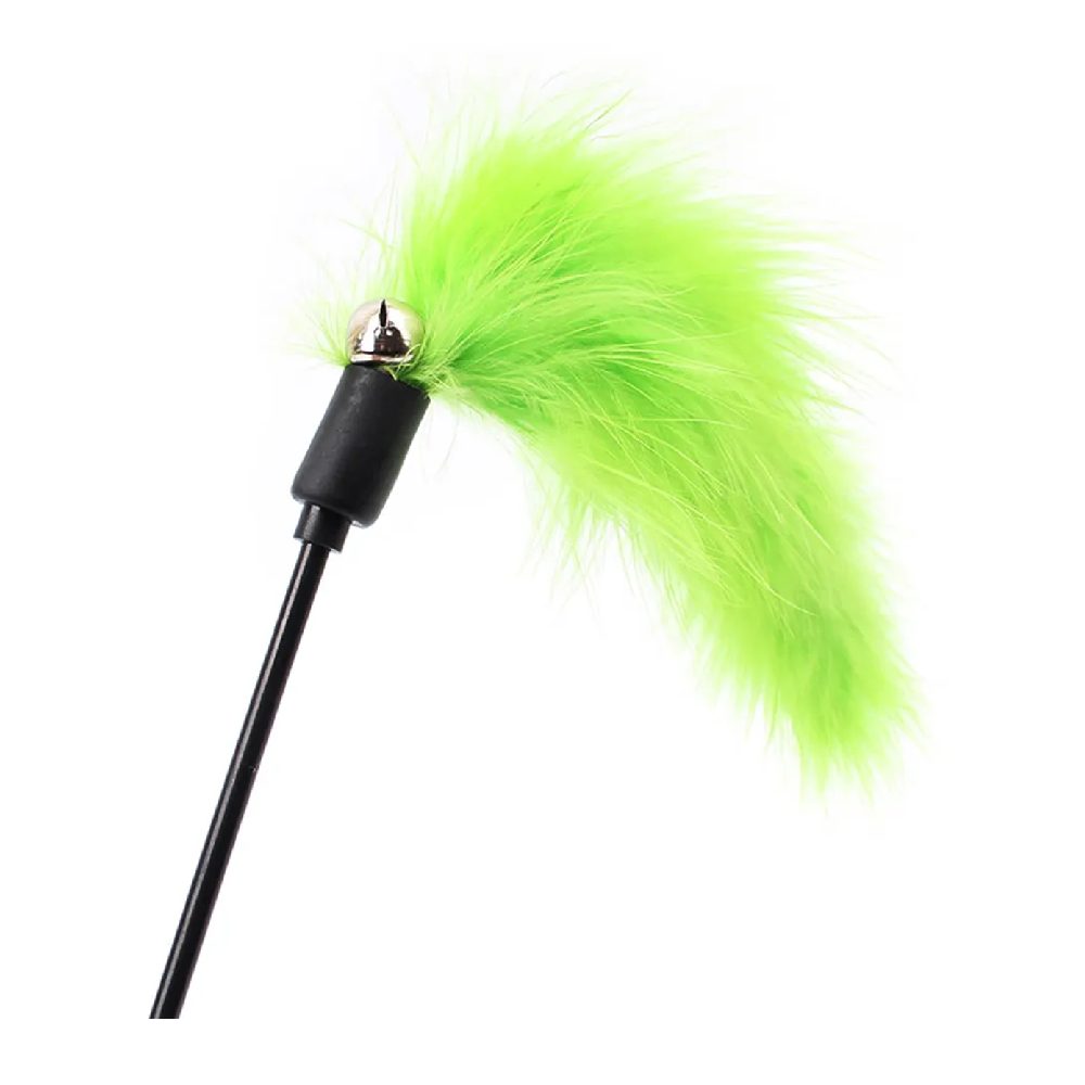 Plastic Cat Toy Stick with Feather - Green