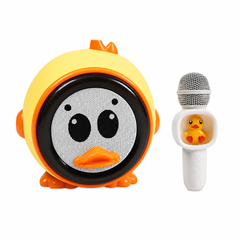 Karaoke Playset with Microphone | GMJ9835