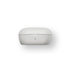 Bose QuietComfort Earbuds – White | 888507-0200