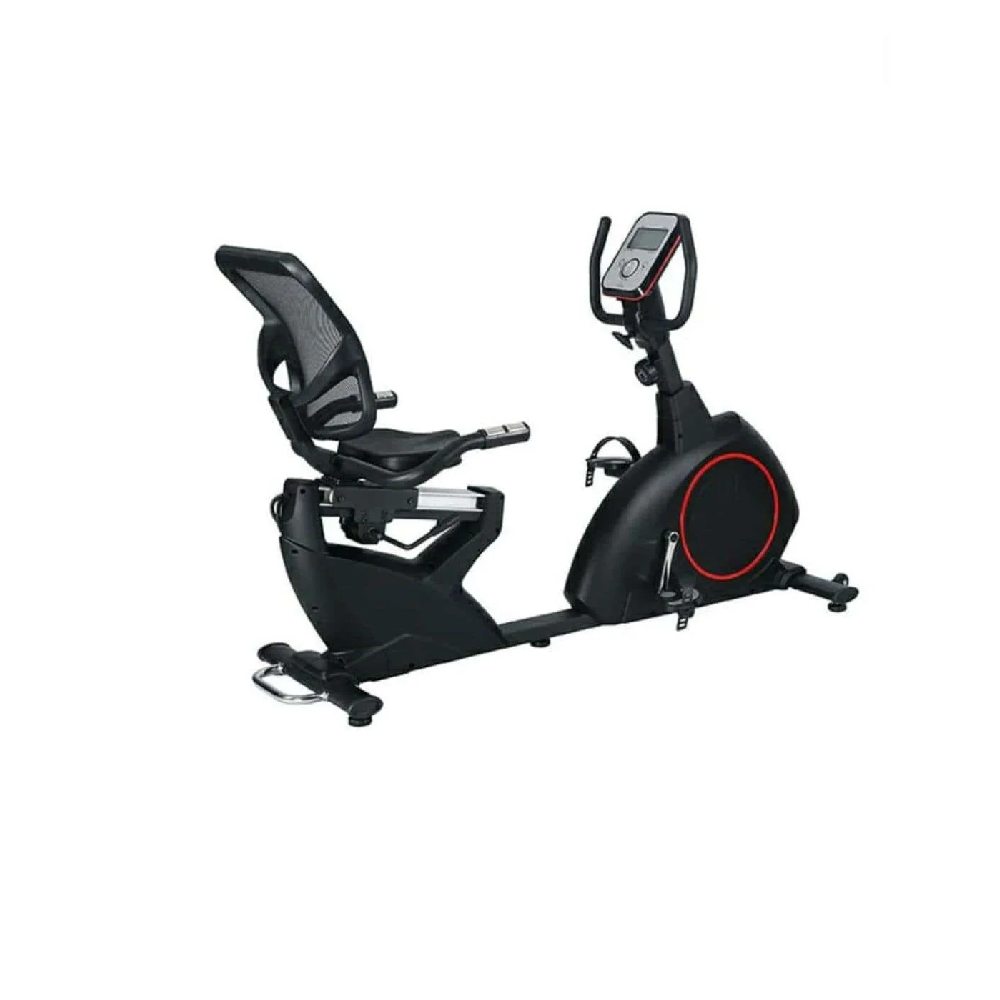 Deluxe Recumbent Bike TS