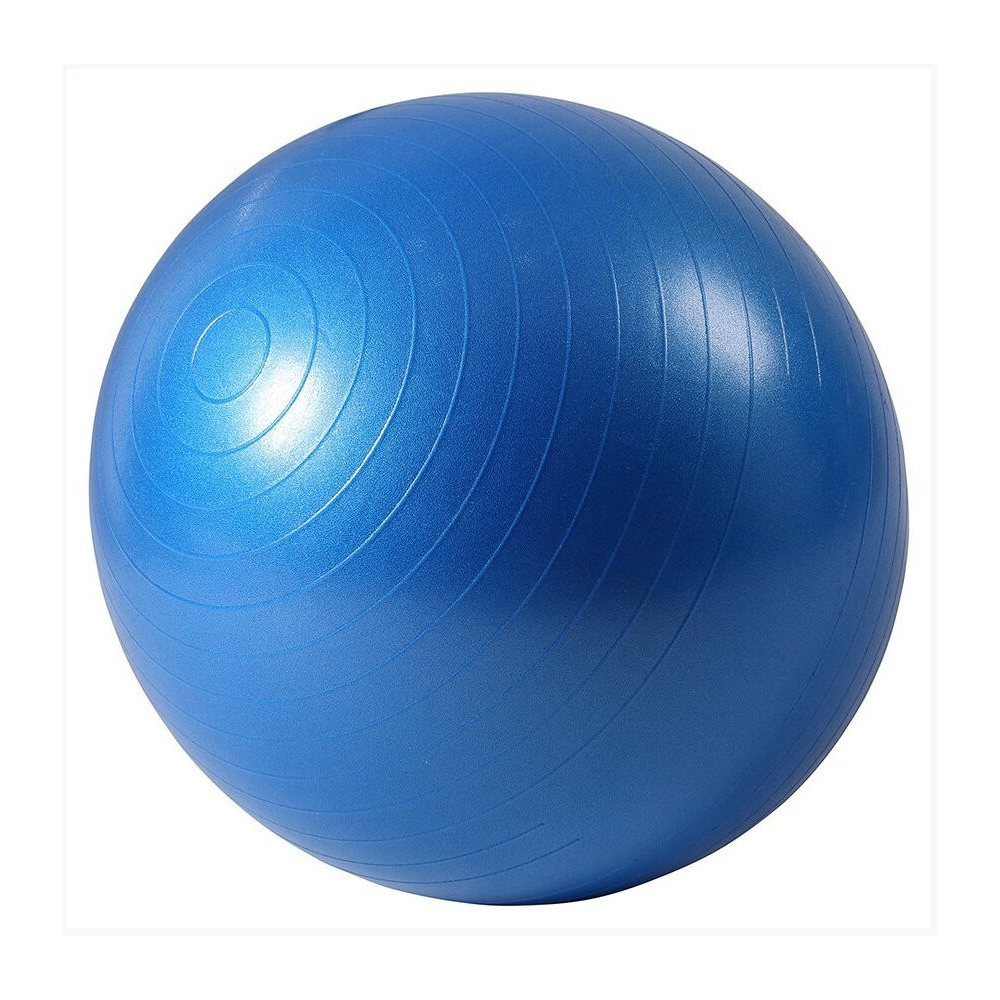 LifeTop Exercise Ball – Dark Blue