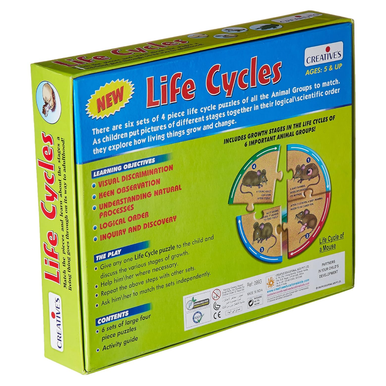 Creatives Life Cycles | 0993