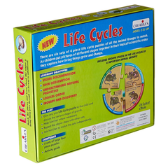 Creatives Life Cycles | 0993