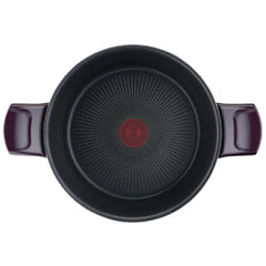 Tefal Resist Intense - Stewpot 24cm + Glass Lid | D5224682
