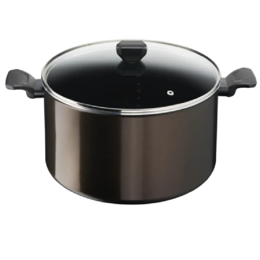 Tefal Easy Cook Clean Stewpot 30cm + Glass lid  | B5546902