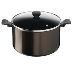 Tefal Easy Cook Clean Stewpot 24cm + Glass lid  | B5544602