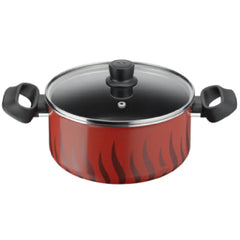 Tefal Tempo Flame — Stewpot 22cm + Glass Lid