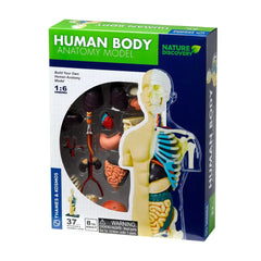 Human Anatomy | 73101