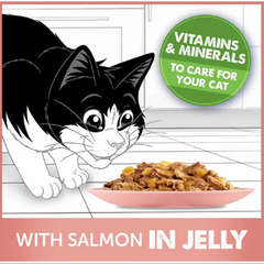 Felix As Good As It Looks with Salmon Cat Food 85g | 206514