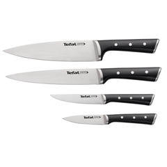 Tefal SS Ice Force 4-Piece Knives Set | K2324S74